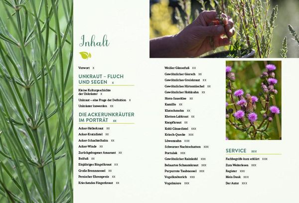 Produktbild: Geheimnisse der Unkr&auml;uter
