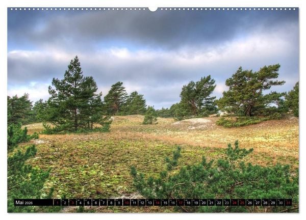 Produktbild: Fischland Dar&szlig; Zingst &ndash; Die Halbinsel an der Ostsee (hochwertiger Premium Wandkalender 2026 DIN A2 quer), Kunstdruck in Hochglanz