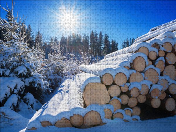 Produktbild: CALVENDO Puzzle Winterwald 1000 Teile Lege-Gr&ouml;&szlig;e 64 x 48 cm Foto-Puzzle Bild von SusaZoom