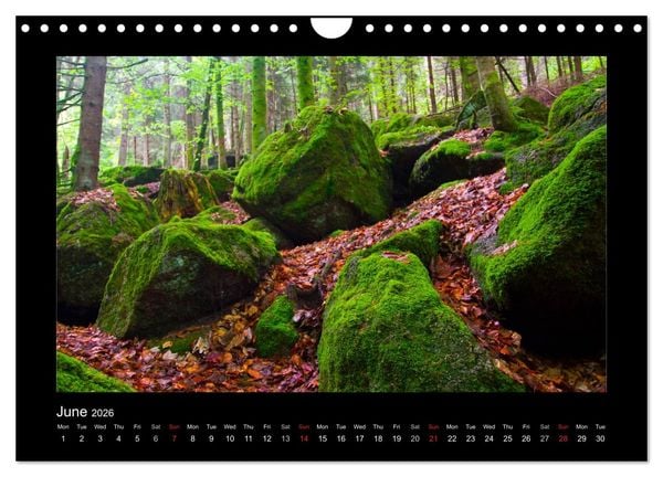 Produktbild: The Black Forest - UK Version (Wall Calendar 2026 DIN A4 landscape), CALVENDO 12 Month Wall Calendar