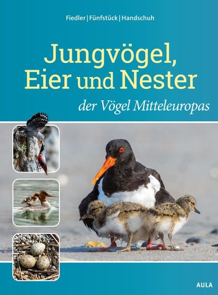 Jungvögel, Eier und Nester der Vögel Mitteleuropas, Gebundene Ausgabe von Wolfgang Fiedler,Hans-Joachim Fünfstück,Markus Handschuh, AULA-Verlag,