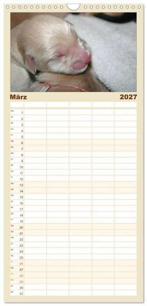Produktbild: Familienplaner 2027 - Hovawart - nat&uuml;rlich blond mit 5 Spalten (Wandkalender, 21 x 45 cm) CALVENDO
