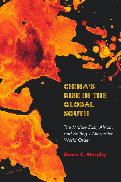 Produktbild: China's Rise in the Global South