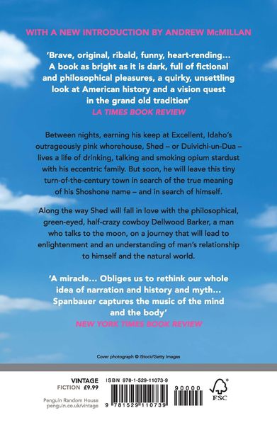 Produktbild: The Man Who Fell In Love With The Moon