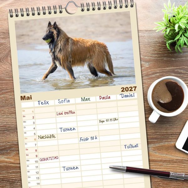 Produktbild: Familienplaner 2027 - Freunde auf vier Pfoten am Strand mit 5 Spalten (Wandkalender, 21 x 45 cm) CALVENDO
