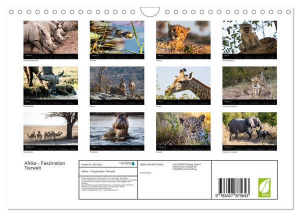 Produktbild: Afrika - Faszination Tierwelt (Wandkalender 2026 DIN A4 quer), CALVENDO Monatskalender