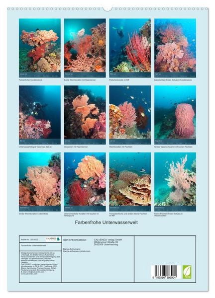 Produktbild: Farbenfrohe Unterwasserwelt (hochwertiger Premium Wandkalender 2026 DIN A2 hoch), Kunstdruck in Hochglanz