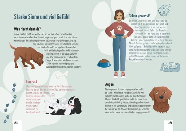 Die drei !!!, Gefahr in der Hundeschule