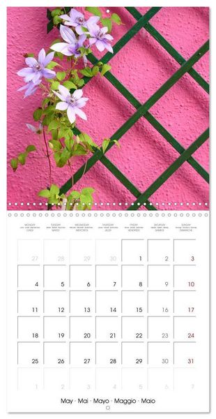 Produktbild: Leaves and flowers of Burano (Wall Calendar 2026 12 &times; 12 Inch) CALVENDO 12 Month Wall Calendar