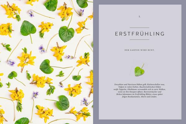 Produktbild: Das gr&uuml;ne Wunder