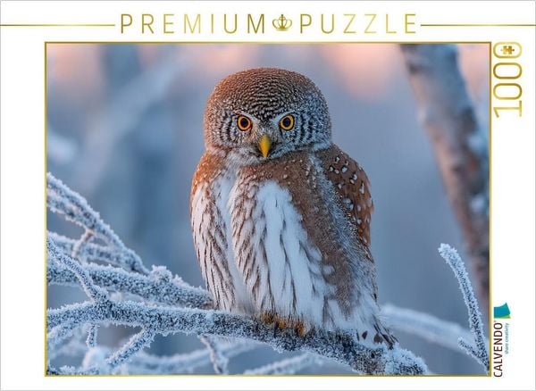 Produktbild: CALVENDO Puzzle Perlkauz - kleine Eule im eisigen Winter | 1000 Teile Lege-Gr&ouml;&szlig;e 64x48cm Foto-Puzzle f&uuml;r gl&uuml;ckliche Stunden