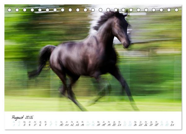 Produktbild: Pferde vom Wind verweht (Tischkalender 2026 DIN A5 quer), CALVENDO Monatskalender