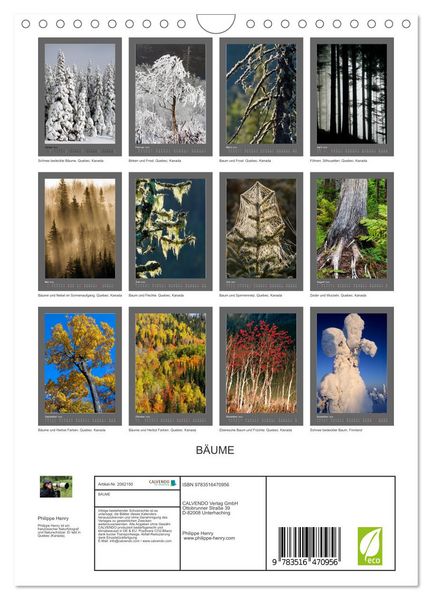 Produktbild: B&Auml;UME (Wandkalender 2026 DIN A4 hoch), CALVENDO Monatskalender