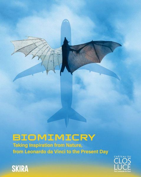 Produktbild: Biomimicry: Taking Inspiration from Nature