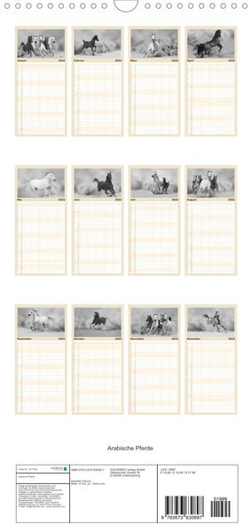 Produktbild: Familienplaner Arabische Pferde (Wandkalender 2022 , 21 cm x 45 cm, hoch)