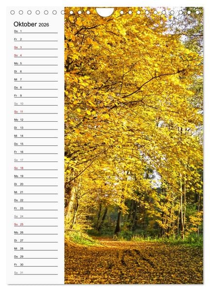Produktbild: Nieste, Kleinod am Kaufunger Wald (Wandkalender 2026 DIN A4 hoch), CALVENDO Monatskalender