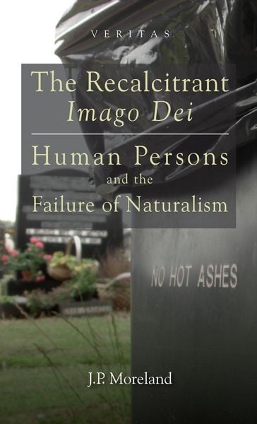 Produktbild: The Recalcitrant Imago Dei