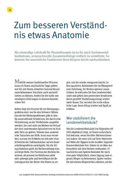 Neurozentriertes Training bei Rückenschmerzen
