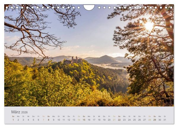 Produktbild: Augenblicke im Pf&auml;lzerwald (Wandkalender 2026 DIN A4 quer), CALVENDO Monatskalender