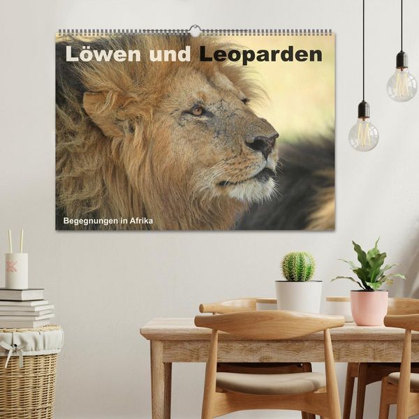 Produktbild: L&ouml;wen und Leoparden - Begegnungen in Afrika (Wandkalender 2026 DIN A2 quer), CALVENDO Monatskalender