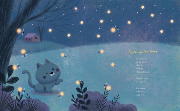 Produktbild: Starry Blankets