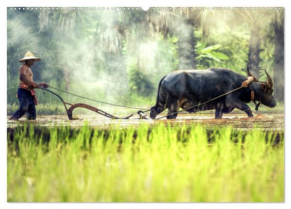 Produktbild: Landleben in S&uuml;dostasien. Menschen in Vietnam und Kambodscha (Wandkalender 2026 DIN A2 quer), CALVENDO Monatskalender