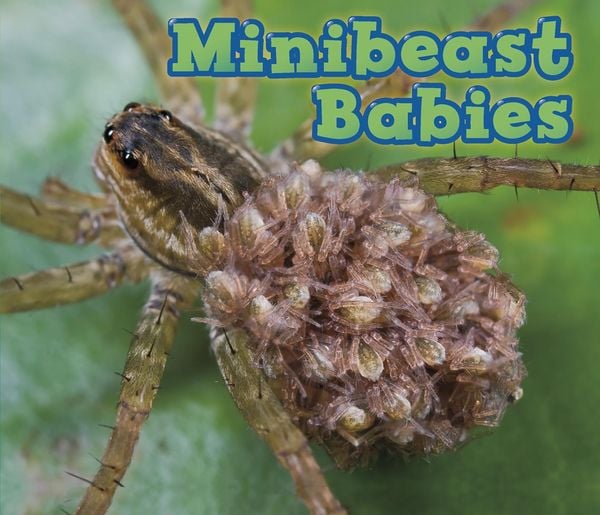 Produktbild: Minibeast Babies