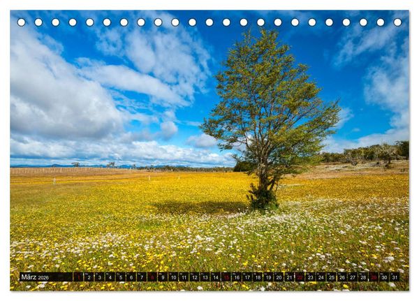 Produktbild: Patagonien und Feuerland (Tischkalender 2026 DIN A5 quer), CALVENDO Monatskalender