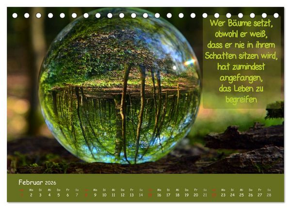 Produktbild: Wunderbare Waldkugeln (Tischkalender 2026 DIN A5 quer), CALVENDO Monatskalender