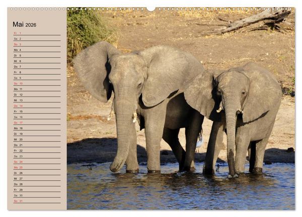 Produktbild: Elefanten in freier Wildbahn (Wandkalender 2026 DIN A2 quer), CALVENDO Monatskalender
