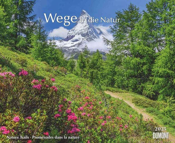 DUMONT - Wege in die Natur 2025 Wandkalender, 52x42,5cm, Fotokunst-Kalender mit Motiven von Naturwegen aus aller Welt, m