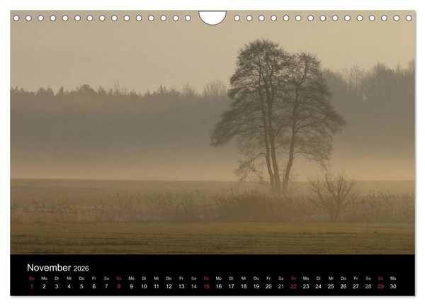 Produktbild: B&auml;ume (Wandkalender 2026 DIN A4 quer), CALVENDO Monatskalender