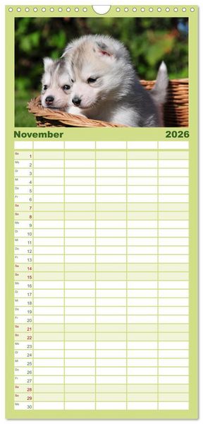 Produktbild: Familienplaner 2026 - Siberian Husky - der Urtyp mit 5 Spalten (Wandkalender, 21 x 45 cm) CALVENDO