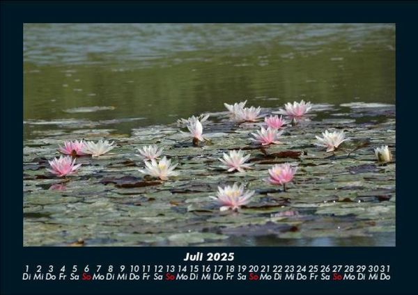 Produktbild: Seeblick 2025 Fotokalender DIN A5