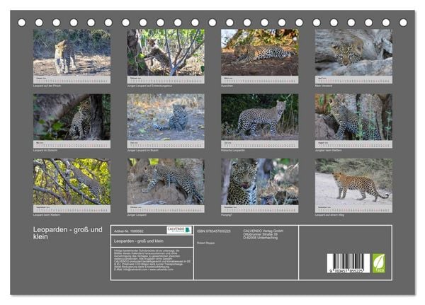 Produktbild: Leoparden - gro&szlig; und klein (Tischkalender 2026 DIN A5 quer), CALVENDO Monatskalender