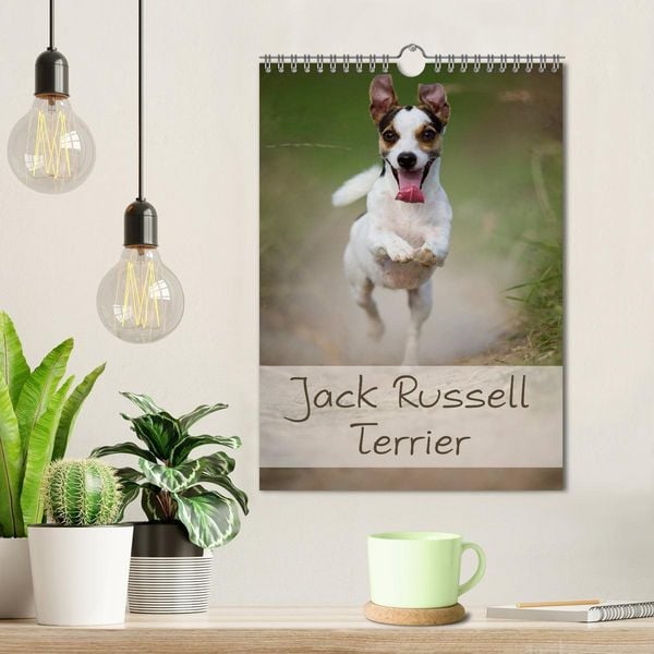 Produktbild: Jack Russell Terrier (Wandkalender 2026 DIN A4 hoch), CALVENDO Monatskalender