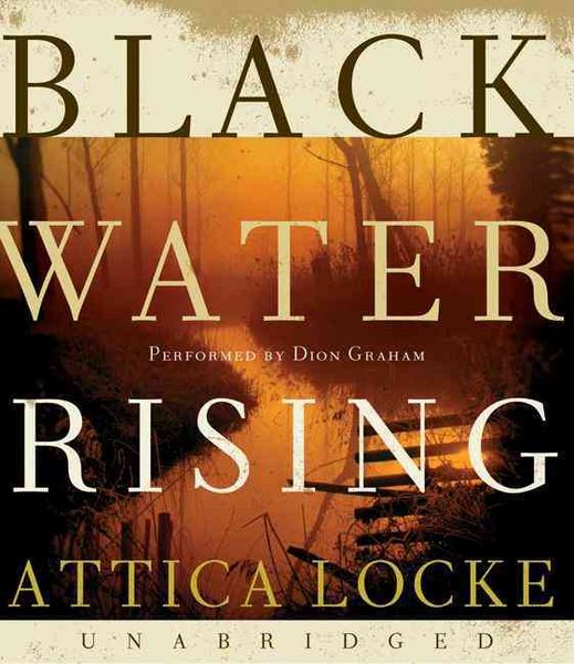 Produktbild: BLACK WATER RISING         11D