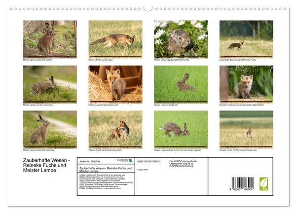 Produktbild: Zauberhafte Wesen - Reineke Fuchs und Meister Lampe (hochwertiger Premium Wandkalender 2026 DIN A2 quer), Kunstdruck in Hochglanz