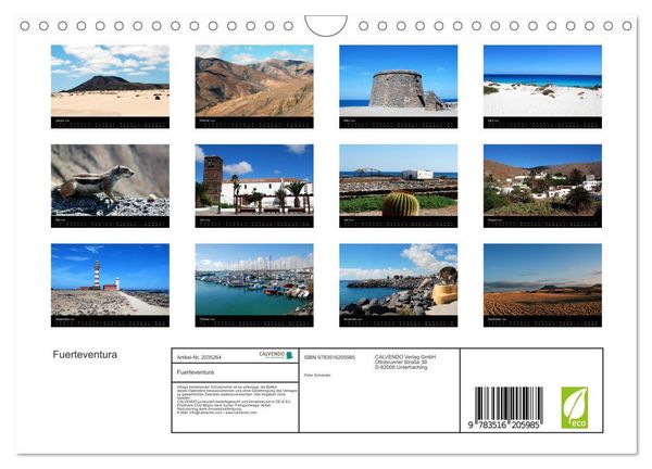 Produktbild: Fuerteventura (Wandkalender 2026 DIN A4 quer), CALVENDO Monatskalender
