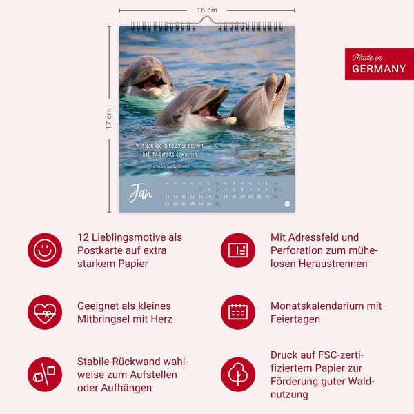 Produktbild: Never give up! Postkartenkalender 2027 - Durchhalten. Denn alles wird gut.