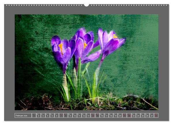Produktbild: Blumen f&uuml;r dich (Wandkalender 2026 DIN A2 quer), CALVENDO Monatskalender