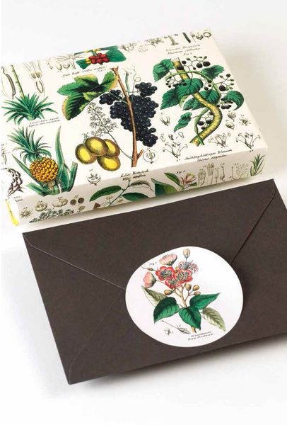 Produktbild: Flora