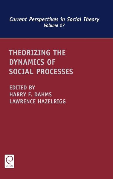 Produktbild: Theorizing the Dynamics of Social Processes