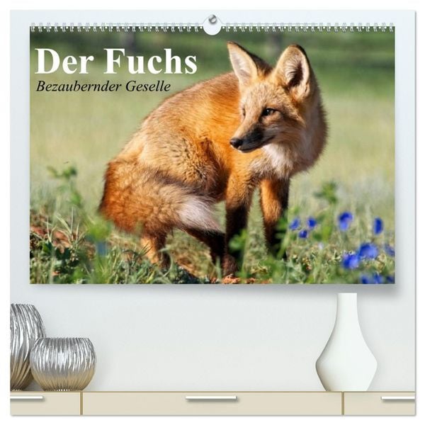 Produktbild: Der Fuchs. Bezaubernder Geselle (hochwertiger Premium Wandkalender 2026 DIN A2 quer), Kunstdruck in Hochglanz