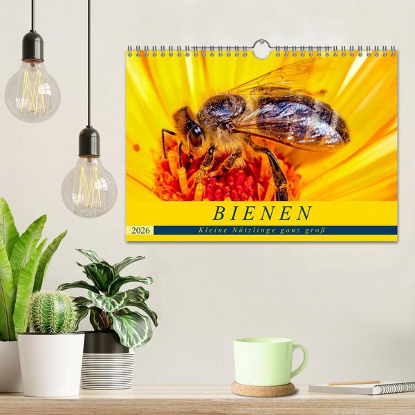 Produktbild: BIENEN - Kleine N&uuml;tzlinge ganz gro&szlig; (Wandkalender 2026 DIN A4 quer), CALVENDO Monatskalender