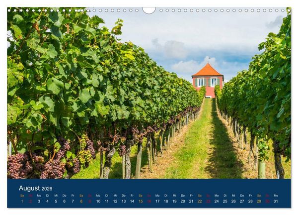 Produktbild: Ansichten vom Bodensee (Wandkalender 2026 DIN A3 quer), CALVENDO Monatskalender