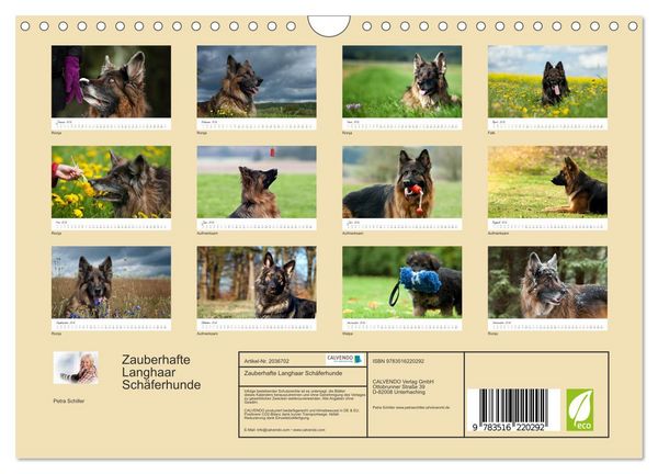 Produktbild: Zauberhafte Langhaar Sch&auml;ferhunde (Wandkalender 2026 DIN A4 quer), CALVENDO Monatskalender