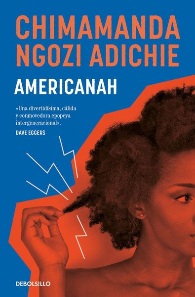 Produktbild: Americanah