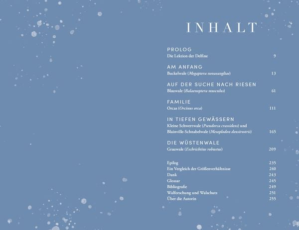 Produktbild: Die Reise der Wale