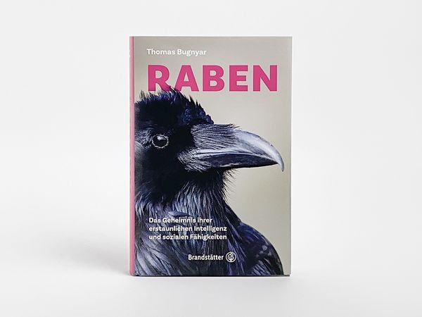 Produktbild: Raben